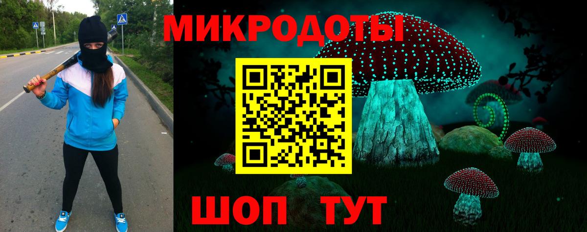 Псилоцибиновые грибы Cubensis Лысьва